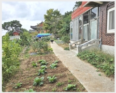  2024Ÿ��8326  ���ð��