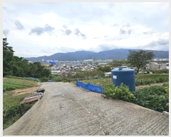  2024Ÿ��8326  ���ð��