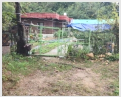  2024Ÿ��8326  ���ð��