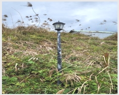  2024Ÿ��8852 ��� ���ֱ� ������ ��۸� 303      �ٸ��ü�,�󰡰��