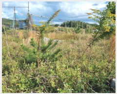  2024Ÿ��9084 ��� ���ֱ� ������ ���縮 190-9      ����(��1)���