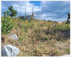  2024Ÿ��9084 ��� ���ֱ� ������ ���縮 190-9      ����(��1)���