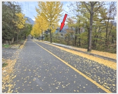  2024Ÿ��9206 ��� ���ֱ� ��ϸ� ���������� 535-7      ���ڽü�,����,ȣ��,�������