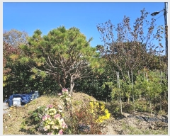  2024Ÿ��9251 �泲 ���� �Ϻϸ� ���긮 504-7      ���ð��