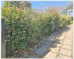  2024Ÿ��9251 �泲 ���� �Ϻϸ� ���긮 504-7      ���ð��