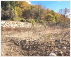  2024Ÿ��9305 ��� ���ֱ� ����� �ݼ۸� ��136-14      ����(�Ӿ�)���