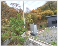  2024Ÿ��9305 ��� ���ֱ� ����� �ݼ۸� ��136-14      ����(�Ӿ�)���