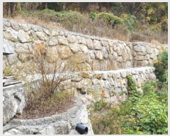  2024Ÿ��9305 ��� ���ֱ� ����� �ݼ۸� ��136-14      ����(�Ӿ�)���