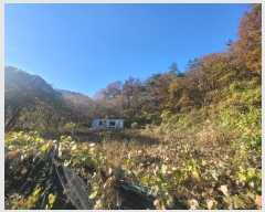  2024Ÿ9558  ֱ   74-3      ()