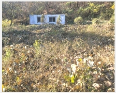  2024Ÿ9558  ֱ   74-3      ()