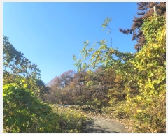  2024Ÿ9558  ֱ   74-3      ()