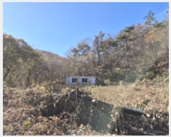  2024Ÿ9558  ֱ   74-3      ()