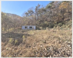  2024Ÿ9558  ֱ   74-3      ()