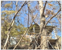  2024Ÿ9558  ֱ   74-3      ()