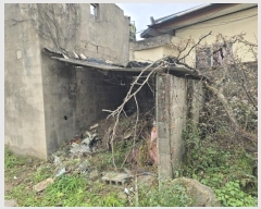  2024Ÿ��9619 ��� ���ֱ� ��ϸ� ������ 159      ����(��1)���