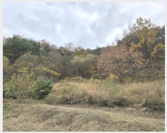  2024Ÿ��9619 ��� ���ֱ� ��ϸ� ������ 159      ����(��1)���