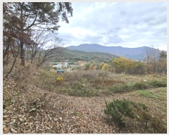  2024Ÿ��9619 ��� ���ֱ� ��ϸ� ������ 159      ����(��1)���