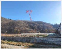  2024Ÿ9879  ֱ ﳲ ȭ 49-11      (Ӿ)