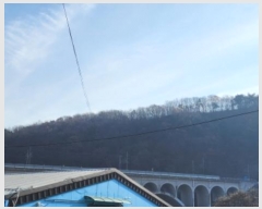  2024Ÿ9879  ֱ ﳲ ȭ 49-11      (Ӿ)