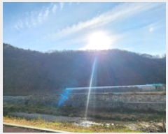  2024Ÿ9879  ֱ ﳲ ȭ 49-11      (Ӿ)