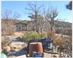  2024Ÿ��10275 ��� ���ֱ� ��ϸ� ������ 101-2      ���ð��