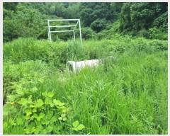  2024Ÿ��111215 ��� ���ֱ� ������ �߸� 326      ��,�繫�ǰ��