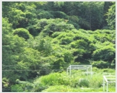  2024Ÿ��111215  ��õ���