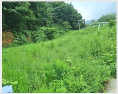  2024Ÿ��111215 ��� ���ֱ� ������ �߸� 326      ��,�繫�ǰ��