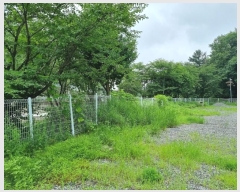  2024Ÿ��111215 ��� ���ֱ� ������ �߸� 326      ��,�繫�ǰ��