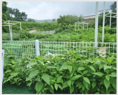  2024Ÿ��111215  ����