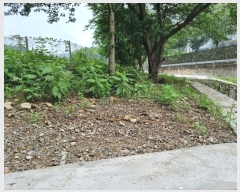  2024Ÿ��111215  ����