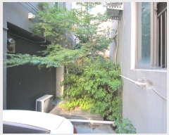  2024Ÿ��112522 ��� ���� ����331���� 29       �ܵ�����,�����ð��