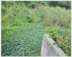  2024Ÿ��112997 ��� ���ֱ� ���̸� ��븮 1421-1      ����(��)���