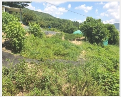  2024Ÿ��112997 ��� ���ֱ� ���̸� ��븮 1421-1      ����(��)���