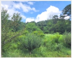  2024Ÿ��112997 ��� ���ֱ� ���̸� ��븮 1421-1      ����(��)���