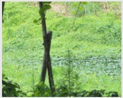  2024Ÿ��112997 ��� ���ֱ� ���̸� ��븮 1421-1      ����(��)���