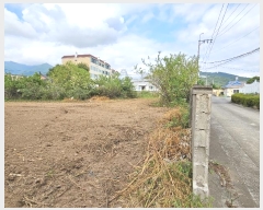  2024Ÿ��114993  �����