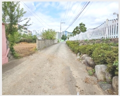  2024Ÿ��114993  �����