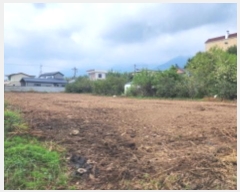  2024Ÿ��114993  �����