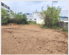  2024Ÿ��114993  �����