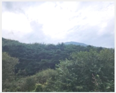  2024Ÿ��116142 ��� ���ֱ� ������ ô���� ��94      ����(�Ӿ�)���