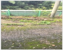  2024Ÿ��116142 ��� ���ֱ� ������ ô���� ��94      ����(�Ӿ�)���