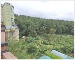  2024Ÿ��116302  �Ӿ߰��