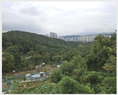  2024Ÿ��116302  �Ӿ߰��