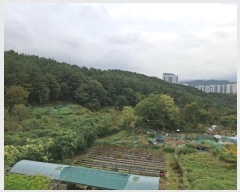  2024Ÿ��116302  �Ӿ߰��