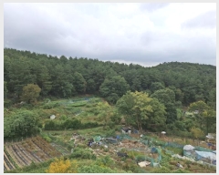  2024Ÿ��116302  �Ӿ߰��