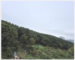  2024Ÿ��116302  �Ӿ߰��