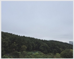  2024Ÿ��116302  �Ӿ߰��