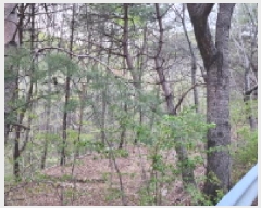  2024Ÿ��120714 �泲 ���� ������ ������ ��120-2      ����(�Ӿ�)���