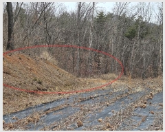  2024Ÿ��797 ��� ���ֱ� �¾��� ���긮 63-2      ����(��1)���